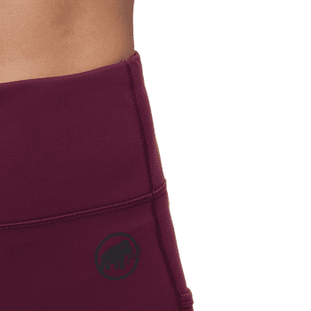 Legginsy Mammut Crag Winter Tights Women black 0001