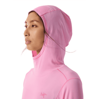 Bluza Arcteryx Sunna Hoody Women Pineberry