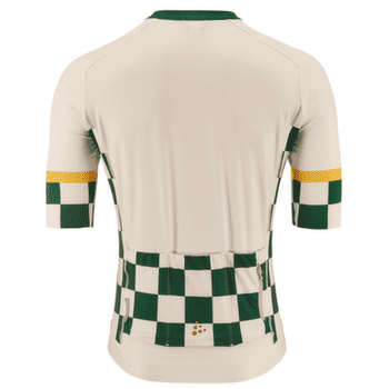 Koszulka z krótkim rękawem Craft ENDUR TRAINING JERSEY Men PLASTER/GREEN