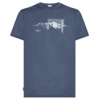 Koszulka z krótkim rękawem Icebreaker Merino 150 Tech Lite SS Tee Pure Altitude Men DAWN