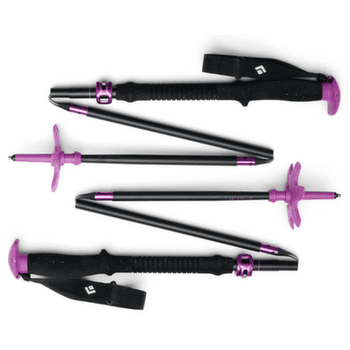 Hole Black Diamond EXPEDITION SKI POLES BD Purple