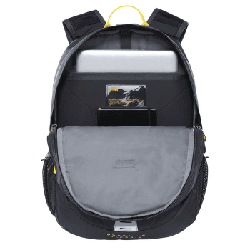 Plecak The North Face Borealis Classic DIW WOODLAND GREEN/TNF BLACK