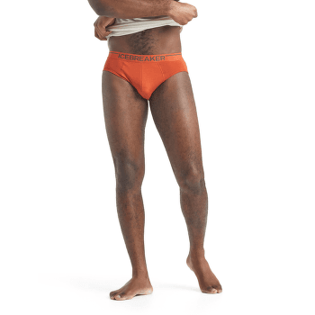 Bokserki Icebreaker Anatomica Briefs Men (103031) Black/Monsoon