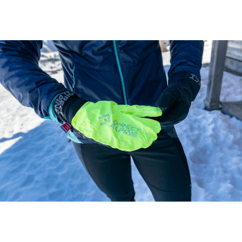Rękawice Direct Alpine Express Plus Glove black