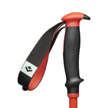 Hole Black Diamond TRAVERSE SKI POLES Octane