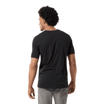 Koszulka z krótkim rękawem Arcteryx Ionia Merino Wool Arc´Word Logo SS Men Solitude Heather