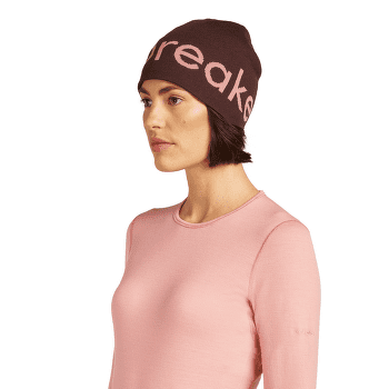 Czapki Icebreaker Merino Icebreaker Beanie CEDAR WOOD/ECRU HTHR