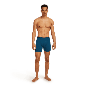 Bokserki Icebreaker Anatomica Long Boxers Men DK LODEN