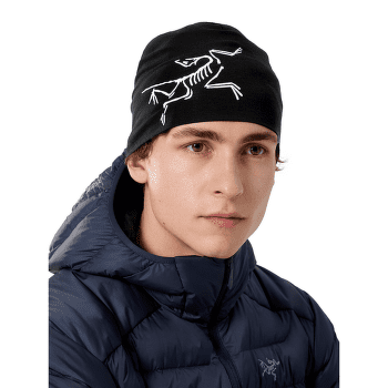 Czapki Arcteryx Satoro Merino Toque Mantis