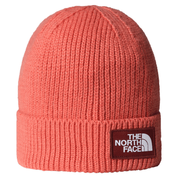 Czapki The North Face TNF LOGO BOX CUFFED BEANIE EED MARS DUST/SUMAC