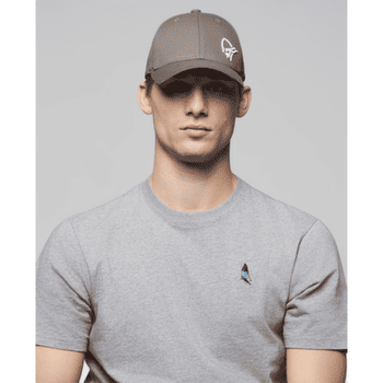 Czapki Norrona /29 Flexfit Cap Pale Grey