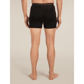 Bokserki Icebreaker Merino 150 Anatomica Boxers Men BLACK