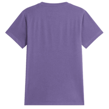 Koszulka z krótkim rękawem The North Face Evolution Simple Dome SLM Short Sleeve Women NNK GROUNDED PLUM