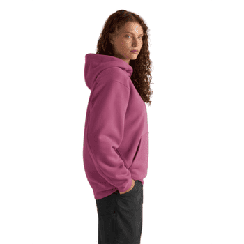 Bluza Arcteryx Emblem Fleece Hoody Women Lt Renegade