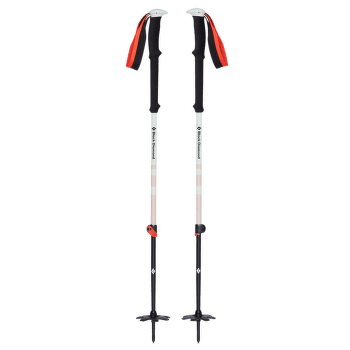 Hole Black Diamond EXPEDITION 2 SKI POLES