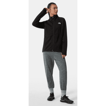 Bunda Patagonia Fitz Roy Down Hoody Men Black