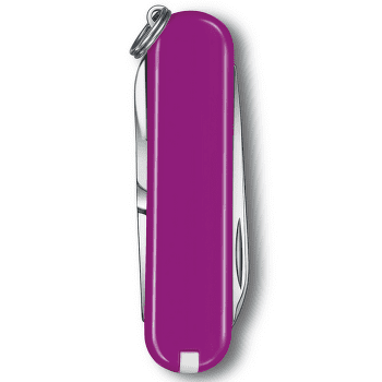 Nóż Victorinox Classic SD Tasty Grape