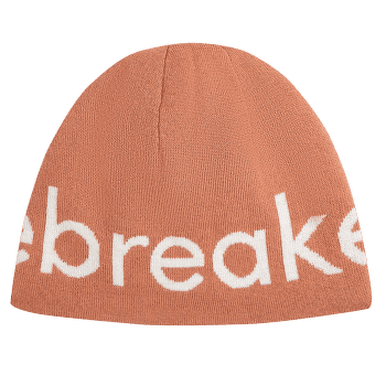 Czapki Icebreaker Merino Icebreaker Beanie CEDAR WOOD/ECRU HTHR