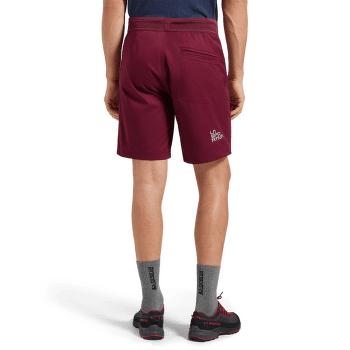 Szorty La Sportiva ROOTS SHORTS Men Cypress/Night Sky