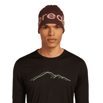 Czapki Icebreaker Merino Icebreaker Beanie CEDAR WOOD/ECRU HTHR