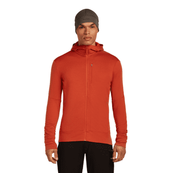 Bluza Icebreaker Merino 260 Quantum IV LS Zip Hoodie Men ATLANTIS