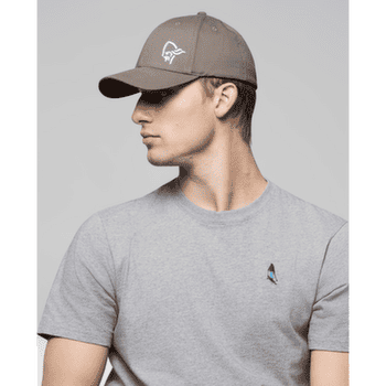 Czapki Norrona /29 Flexfit Cap Pale Grey