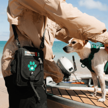 Apteczka Survival Survival First Aid Kit Pet