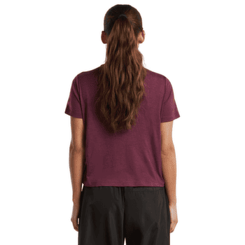 Koszulka z krótkim rękawem Icebreaker Merino 150 Tech Lite SS Crop Tee Great Heights Women DK BERRY