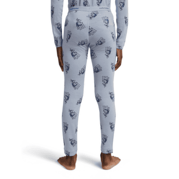 Legginsy Icebreaker Merino 200 Oasis Leggings Bear Tour AOP Kids ZINC BLUE/AOP