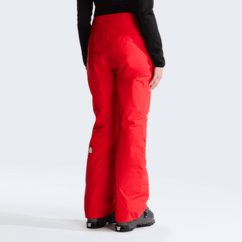 Spodnie The North Face DESCENDIT PANT Women NN4 GLACIER