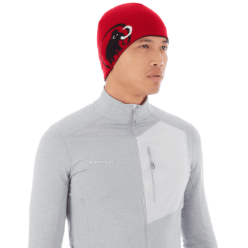 Czapki Mammut Mammut Logo Beanie (1191-04891) grape-pink
