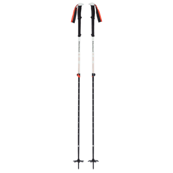 Hole Black Diamond EXPEDITION 2 SKI POLES