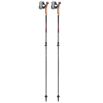 Hole Leki Instructor Lite dark anthracite-silvergray-bright red