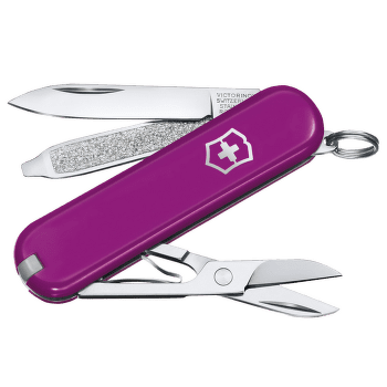 Nóż Victorinox Classic SD Tasty Grape