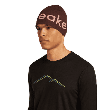 Czapki Icebreaker Merino Icebreaker Beanie CEDAR WOOD/ECRU HTHR