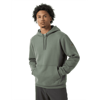Bluza Arcteryx Emblem Fleece Hoody Men Forage