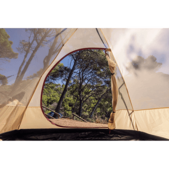 Stan Coleman DARWIN SUMMER 3