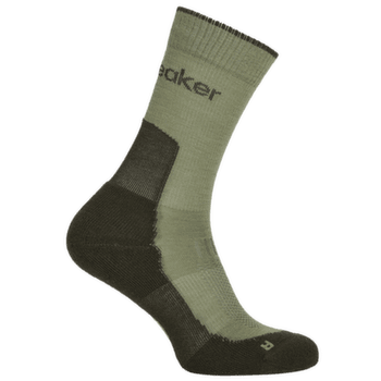 Skarpety Icebreaker Merino Hike+ Light Crew Women LICHEN/DK LODEN