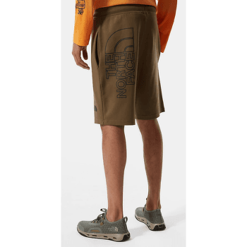 Szorty The North Face Graphic Short Light Men FOREST OLIVE