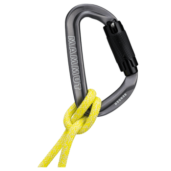 Karabinek wspinaczkowy Mammut Sender Twistlock Carabiner Grey 1602