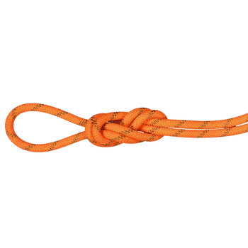 Lina Mammut 8.0 Alpine Dry Rope Safety orange-boa 11238