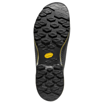 Buty La Sportiva TX4 Evo GTX Carbon/Bamboo