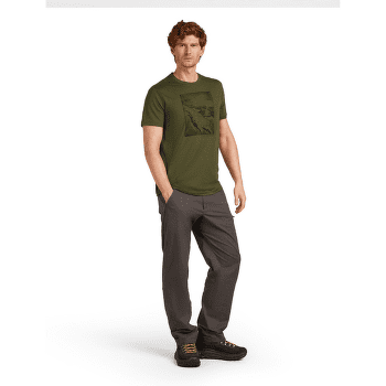 Koszulka z krótkim rękawem Icebreaker Merino 150 Tech Lite SS Tee Summit Men LODEN