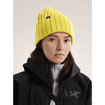 Czapki Arcteryx Chunky Ribbed Toque Sea Salt / Moonstone