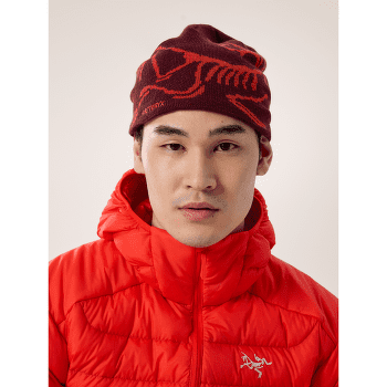 Czapki Arcteryx Bird Head Toque Sea Salt / Habitat