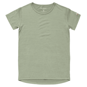 Koszulka z krótkim rękawem Devold Breeze Plus Merino 200 T-Shirt Women FOG