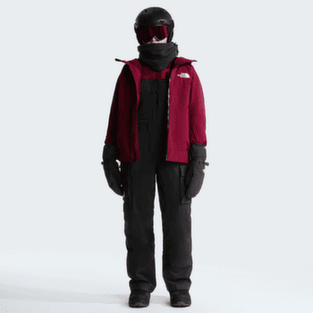 Spodnie The North Face FREEDOM INSULATED BIB WOMEN TNF BLACK