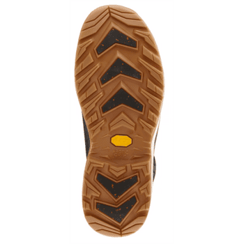 Buty Lowa RENEGADE EVO ICE 2 GTX black/honey