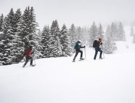 Jak wyposażyć się na zimową wędrówkę?