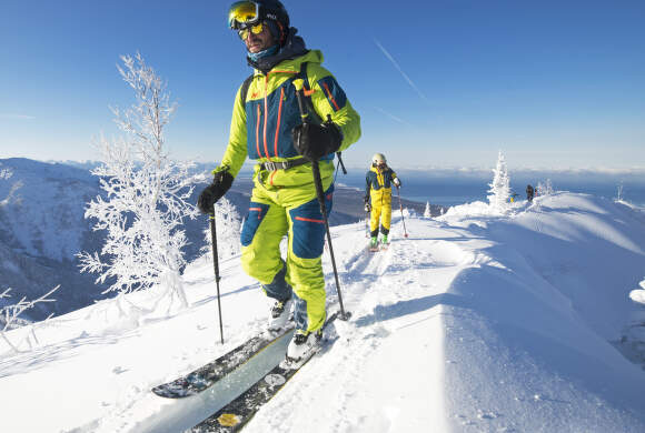 How_to_choose_skialpine_binding_Plum (1)